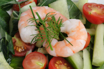 Dill used in cooking with prawns